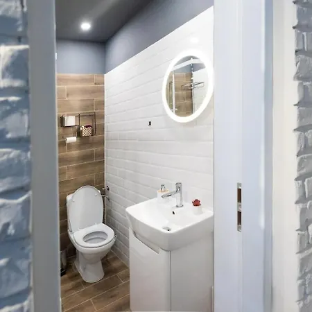 Casa Luminoasa Cu Gradina Privata