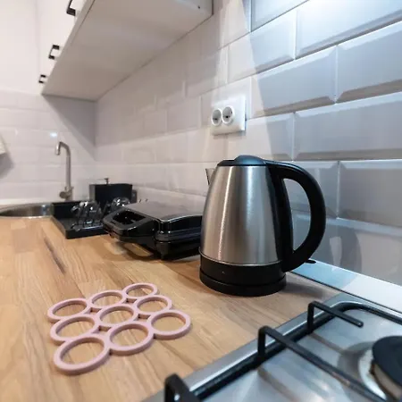 Casa Luminoasa Cu Gradina Privata