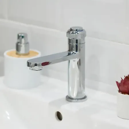 Casa Luminoasa Cu Gradina Privata