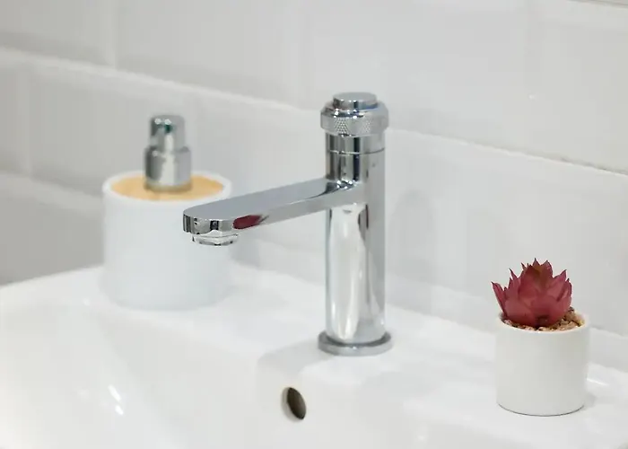 Casa Luminoasa Cu Gradina Privata