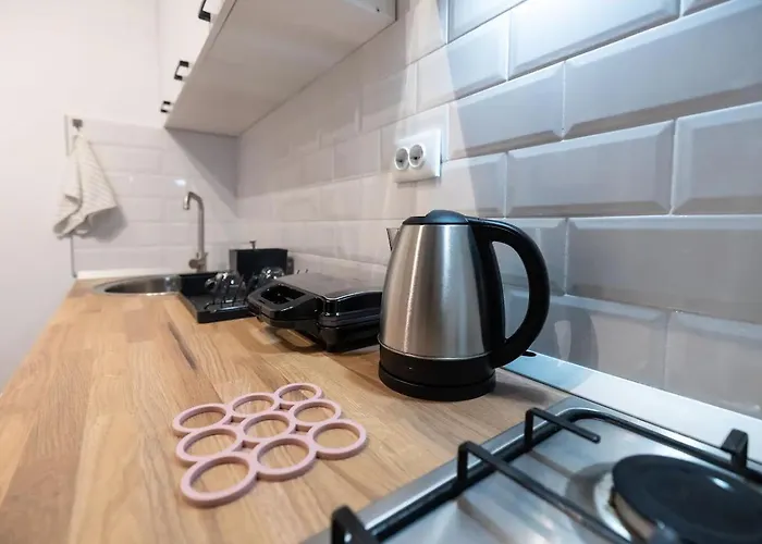 Casa Luminoasa Cu Gradina Privata